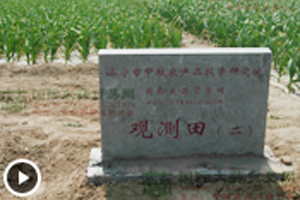 大蒜觀測田苗情長勢監(jiān)測—3月17日 (1711播放)