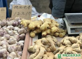 蘭州：綠葉菜、大姜等蔬菜價(jià)格大漲 ()