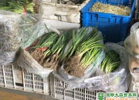 北京昌平：3月菜價進(jìn)入下行區(qū)間 ()