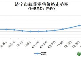 濟(jì)寧市：蔬菜價(jià)格以降為主！ ()