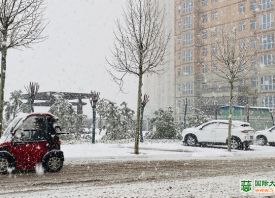 河南3月飄雪 蒜苗還好嗎？ ()