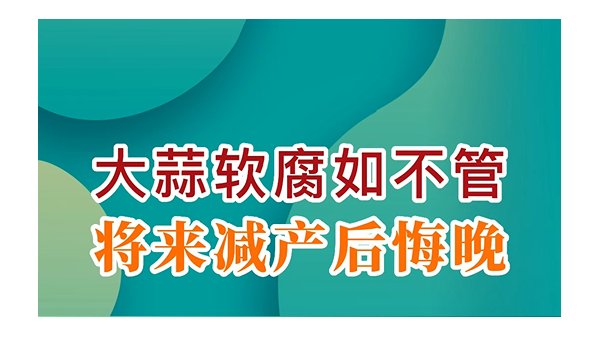 大蒜軟腐如不管，將來減產(chǎn)后悔晚 (731播放)