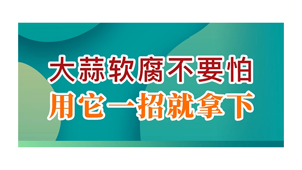 大蒜軟腐不要怕，用它一招就拿下 (812播放)