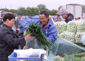 新發(fā)地市場：蔬菜供應(yīng)量足價跌 ()