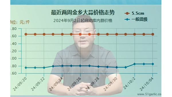 蒜價猛然上漲、能否再接再厲 (634播放)