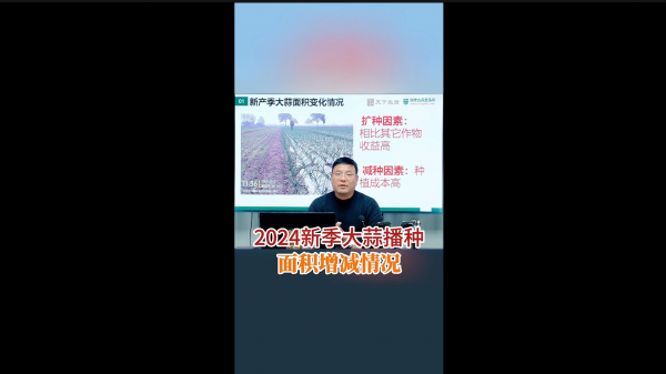 2024新季大蒜播種面積增減情況 ()