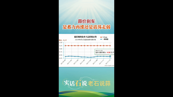 蒜價剎車是蓄力再漲還是震蕩走弱 (568播放)