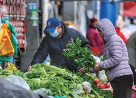 濟(jì)南：降雪期間菜價(jià)保持平穩(wěn) ()